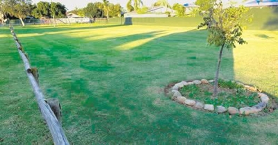 Openbare parke in Oudtshoorn op die kapblok!