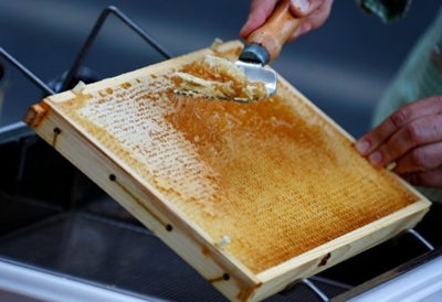 SA’s honey imports keep rising