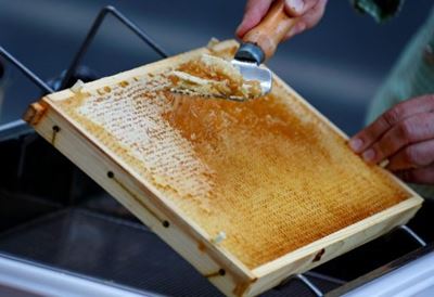 SA’s honey imports keep rising