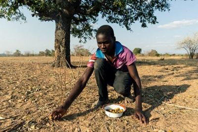 Experts divided on call for Zim sanctions to be lifted
