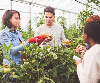 More jobs in agriculture in third quarter, good news – Didiza 