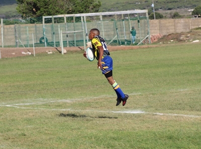 'n Goeie dag op kantoor vir Seagulls