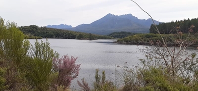 Garden Route Dam level update