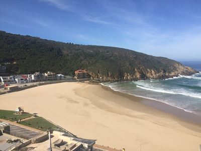 Many cancellations in wake of beach closure 