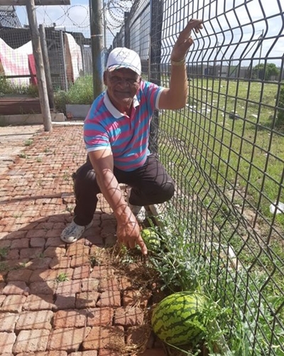 Charles se makgemaakte waatlemoen