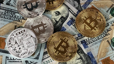 Shiba vs. Bitcoin - What Do You Need to Know?