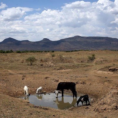 ‘Drought has created a perfect storm for SA banks’