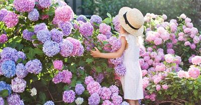 Gardening in December