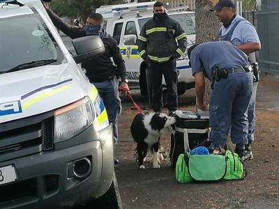 Twee in hegtenis na botsing