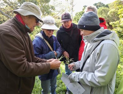 Steenbok Reserve Tree Walk highlights indigenous tree species
