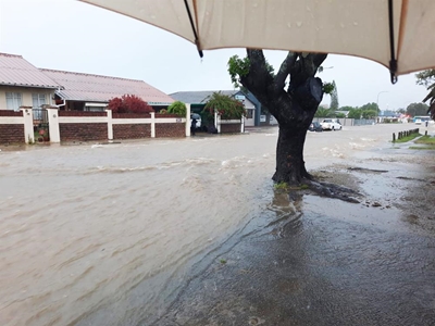 After the flood: What's the damage?