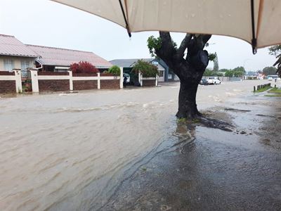 After the flood: What's the damage?