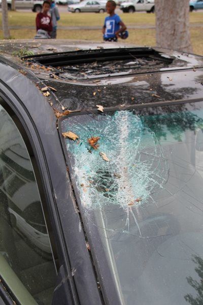 Boom rig groot skade aan motor