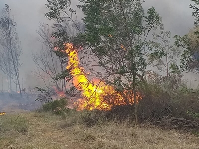 N2 stop-en-ry in plek by brand