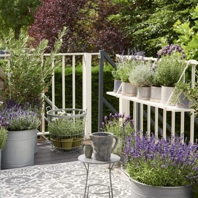 Create a beautiful balcony garden