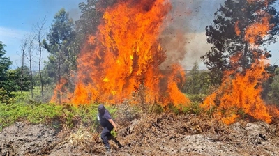 Preparing for fire season