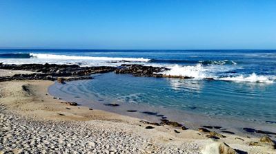 Surfers warned to avoid Outer Pool
