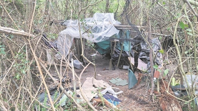 Needles, vagrants, fires and fear in Denneoord's forest walkways