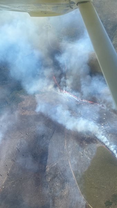Out-of-control fire north of Heidelberg sparks urgent response