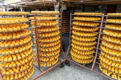 Agro-processing: Where SA’s growth potential meets a new workforce reality