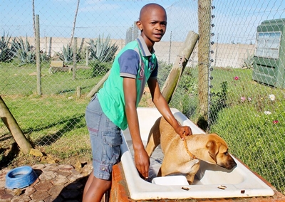 4 resign from SPCA committee 