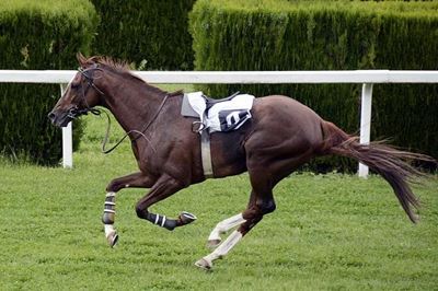 When Lester Piggott stunned Scottsville – and when he grabbed Dettori’s ‘crown jewels’