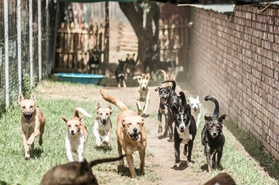 Spend time at Odin on Mandela Day