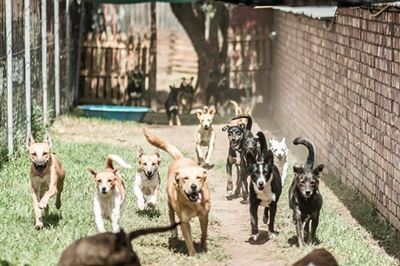 Spend time at Odin on Mandela Day
