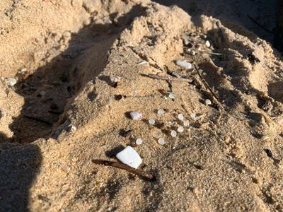 Many nurdles to overcome before seas are clean