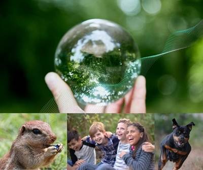 Creating employment in the green economy
