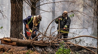 Garden Route fire update: Tuesday