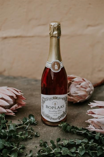 Kom kuier by Boplaas se Hart & Bosch