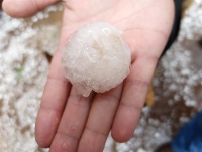 Groot haelskade in Steynsburg