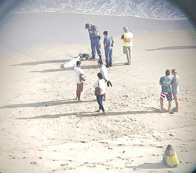 Missing fisherman's body found on beach