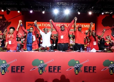 Malema’s dream of a united Africa will not happen in our lifetime – analyst