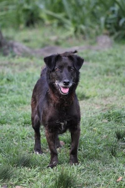 Raffle to support Odin's animals