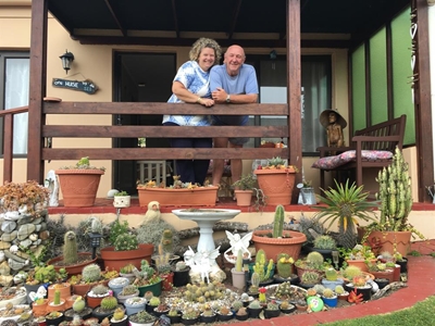 'n Passie vir vetplante