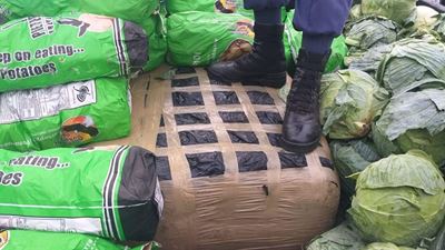 R650 000 of dagga hidden under vegetables 