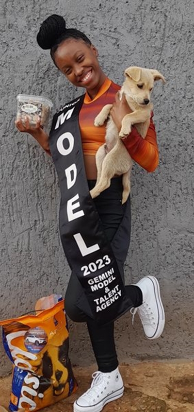 Donations for dogs