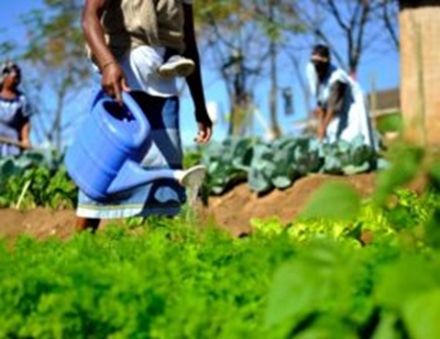 New Agriculture Agro-processing Masterplan to transform the sector
