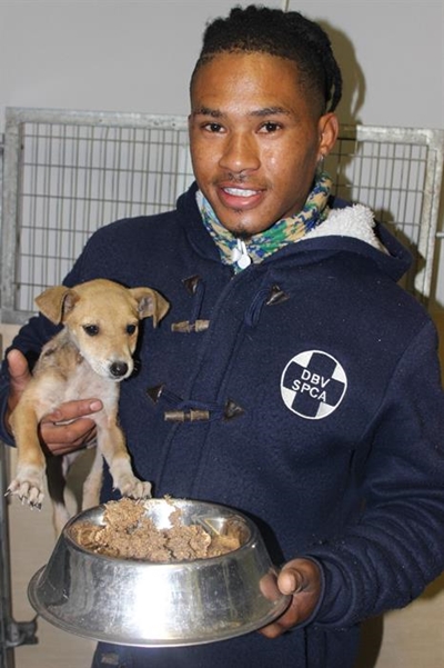 SPCA operating despite lockdown