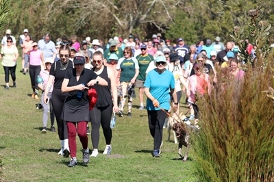 Get ready for tomorrow’s Cat Walk charity fun run