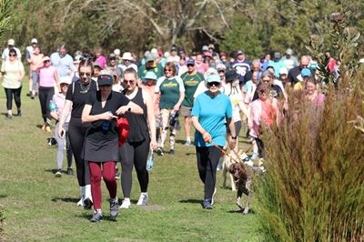 Get ready for tomorrow’s Cat Walk charity fun run