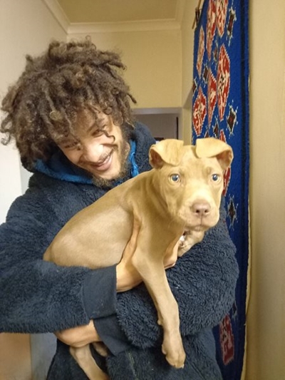 Pit bull puppy safe and sound