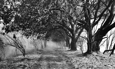 See charcoal exhibition at Old Gaol in Knysna