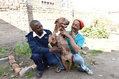 Dog survives gunshot in raid