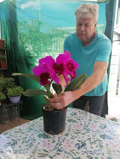 'n Plant om mee te spog