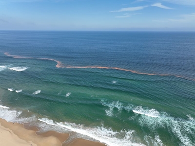 Reports of Red Tide at Glentana area