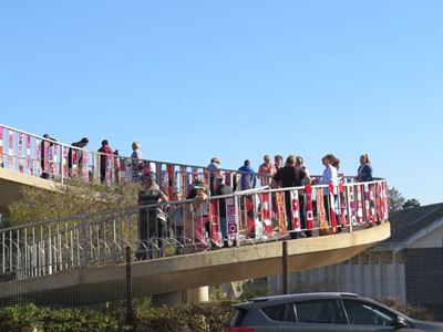 'n Fiesta vir reWOLusie