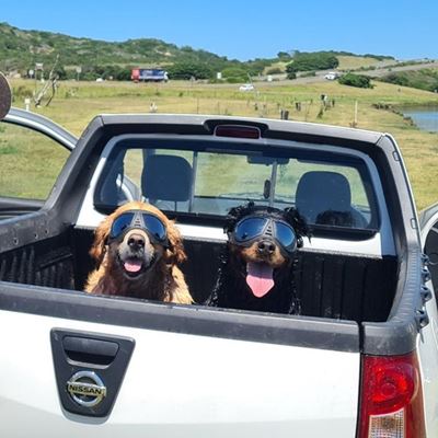 Brakke, brille en bakkies op Groot Brak